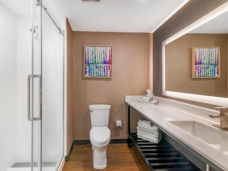 Cambria Hotel & Suites Plymouth image