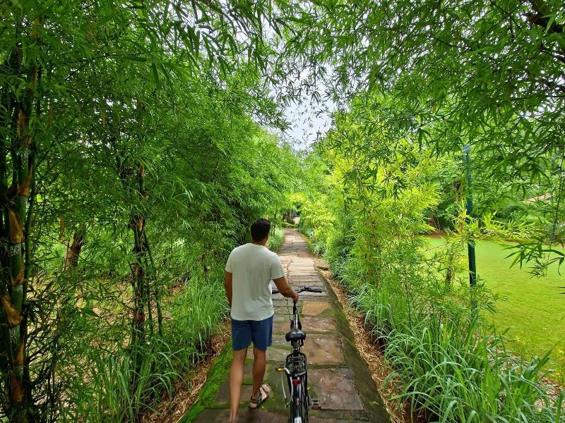 Tathastu Kanha -the Serenity Retreat image