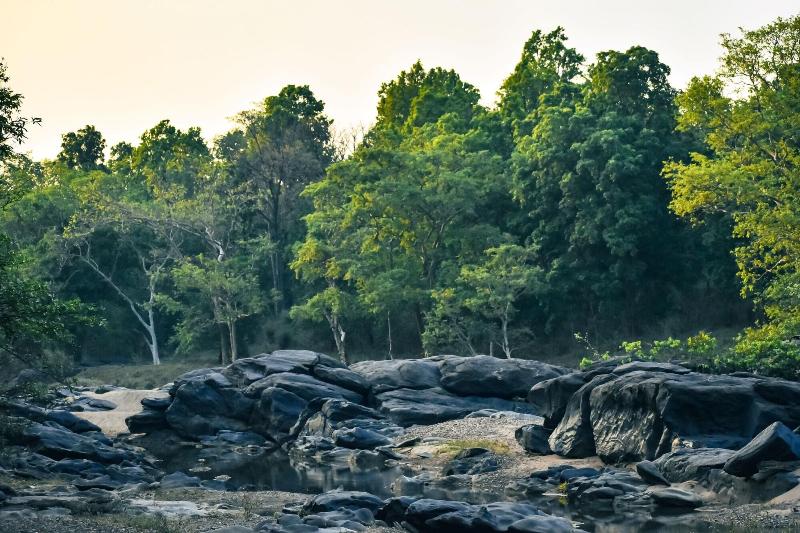 Tathastu Kanha -the Serenity Retreat image