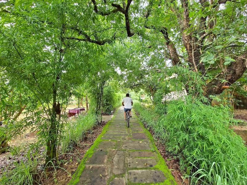 Tathastu Kanha -the Serenity Retreat image