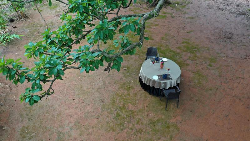 Tathastu Kanha -the Serenity Retreat image