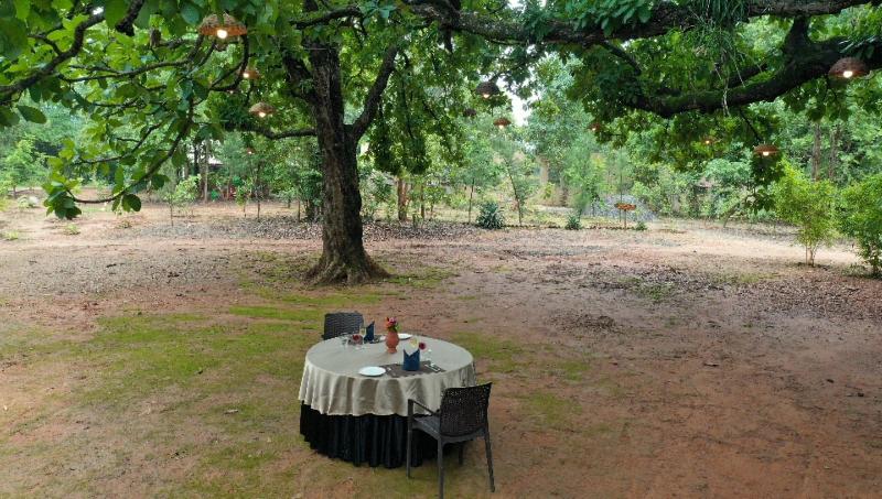 Tathastu Kanha -the Serenity Retreat image