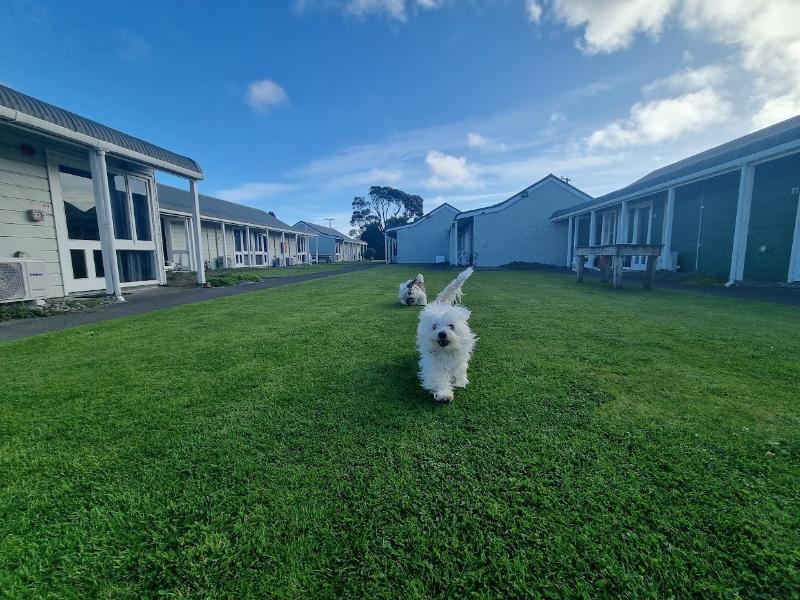 The Furlong Motel image