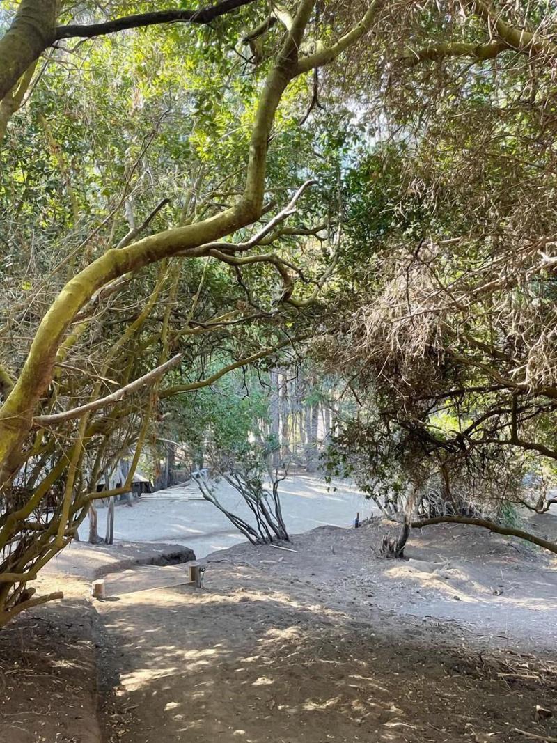 Parque Laguna Zapallar image