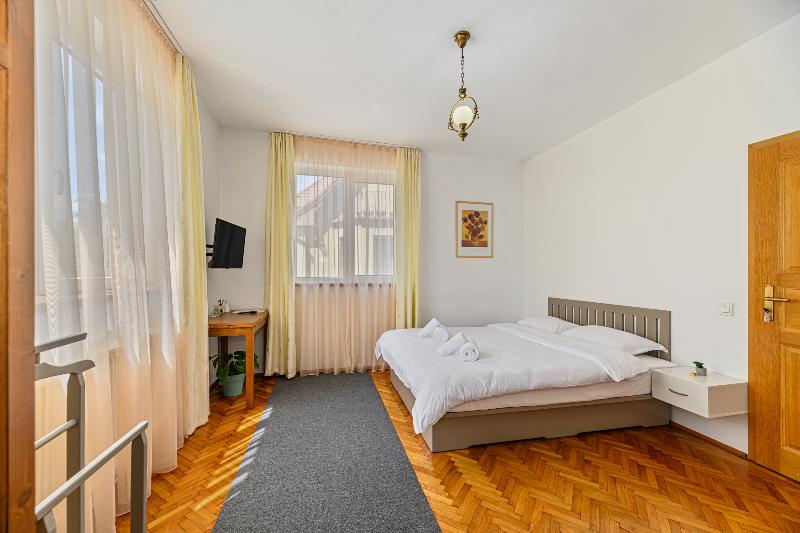 Pensiunea Casa Bono image