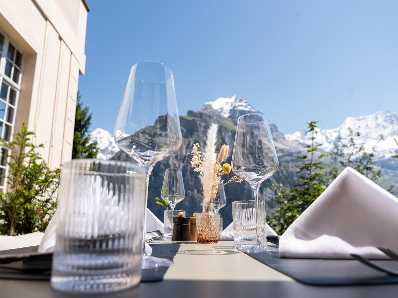 Hotel Mürren Palace image