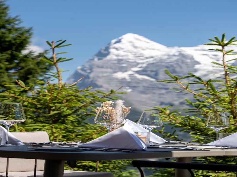 Hotel Mürren Palace image