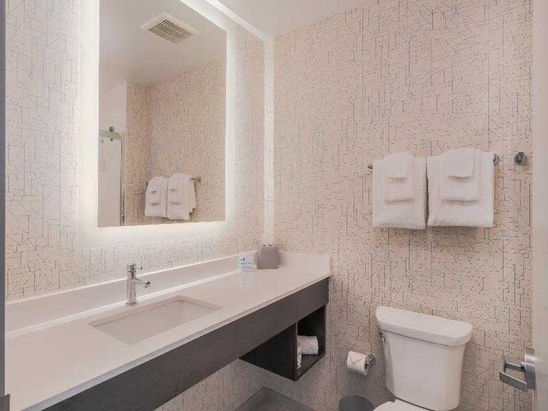 Holiday Inn Express Long Island City E New York image