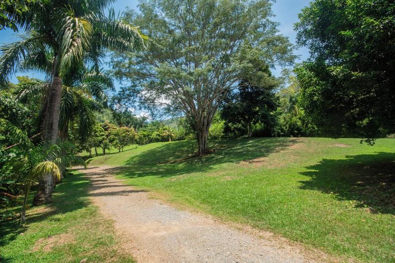 La Selva Hotel San Jeronimo image