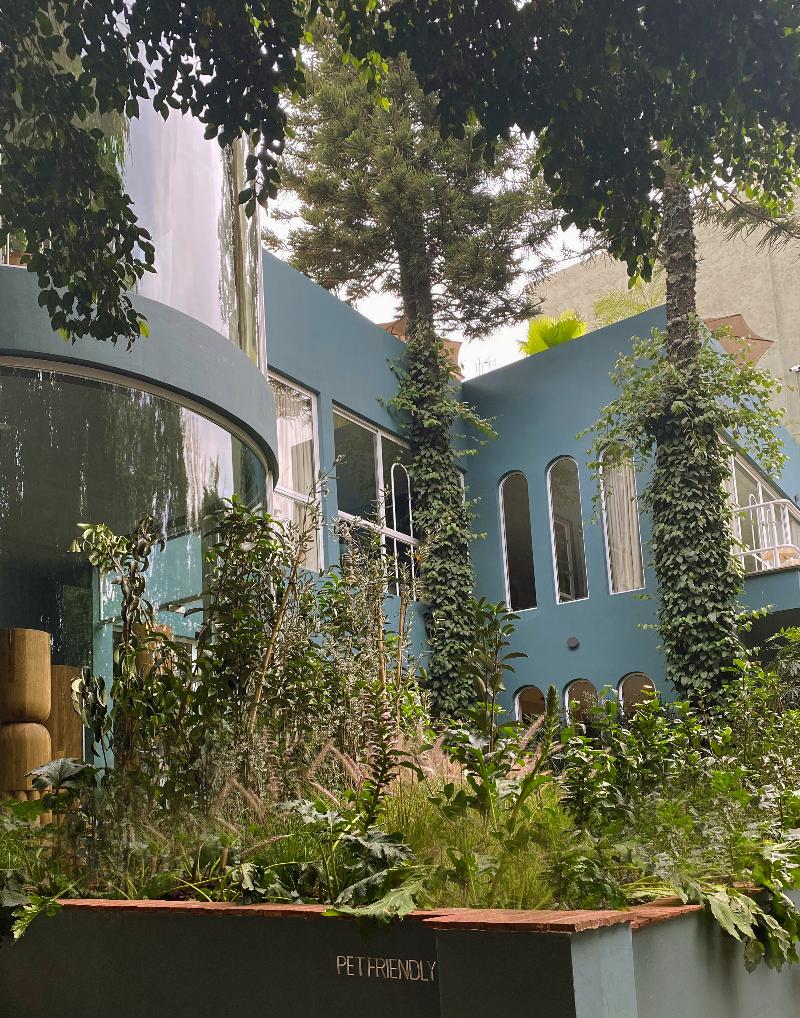 Uma Casa image