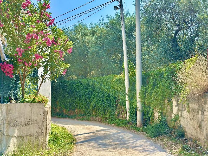 Akhdar Apartments image