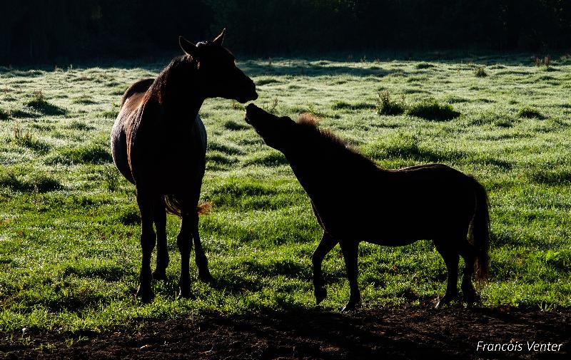 Flitwick Ranch image