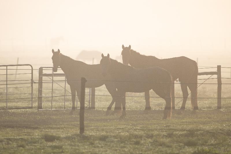 Flitwick Ranch image