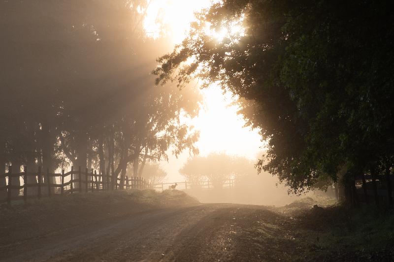Flitwick Ranch image