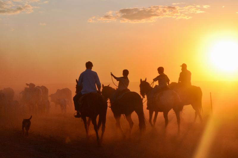 Flitwick Ranch image