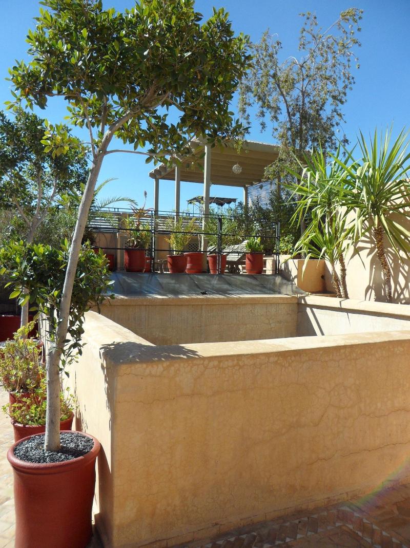 Riad Et Spa Misria Les Oliviers image