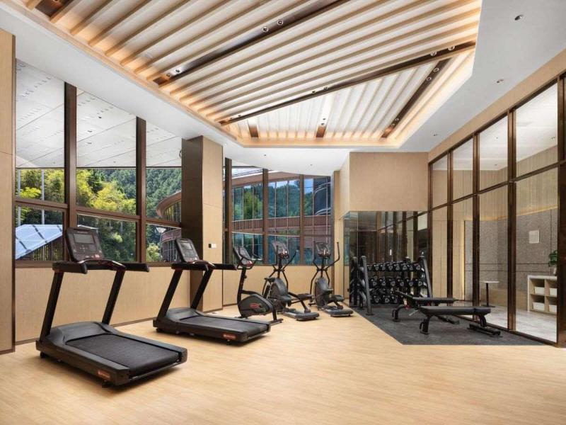 Hilton Garden Inn Jingdezhen Taoyuan Valley image