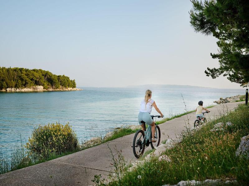 Arba Resort, Valamar Collection image