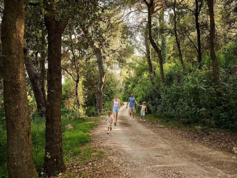 Arba Resort, Valamar Collection image