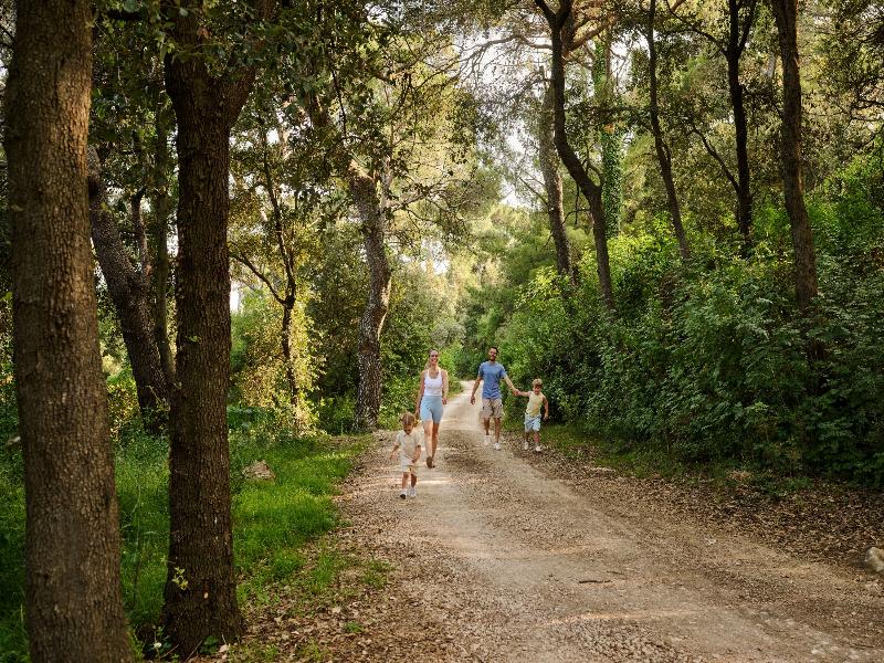 Arba Resort, Valamar Collection image