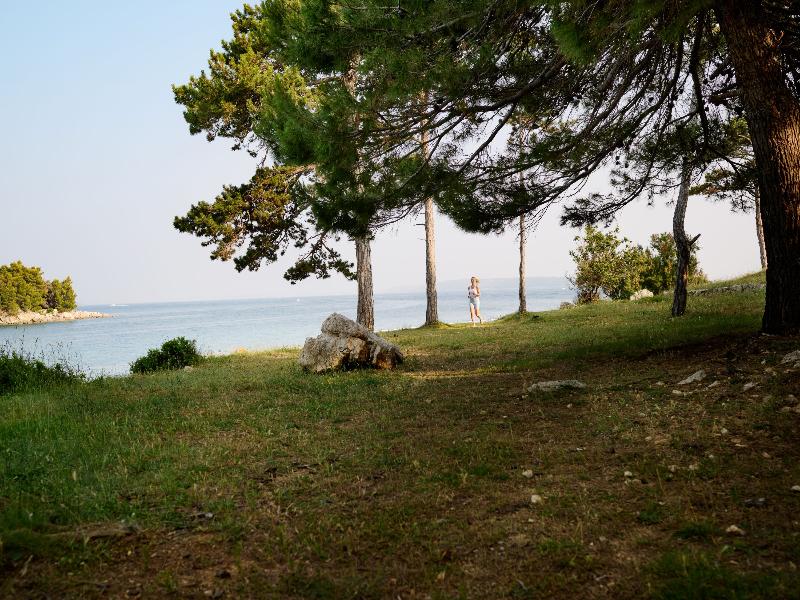 Arba Resort, Valamar Collection image