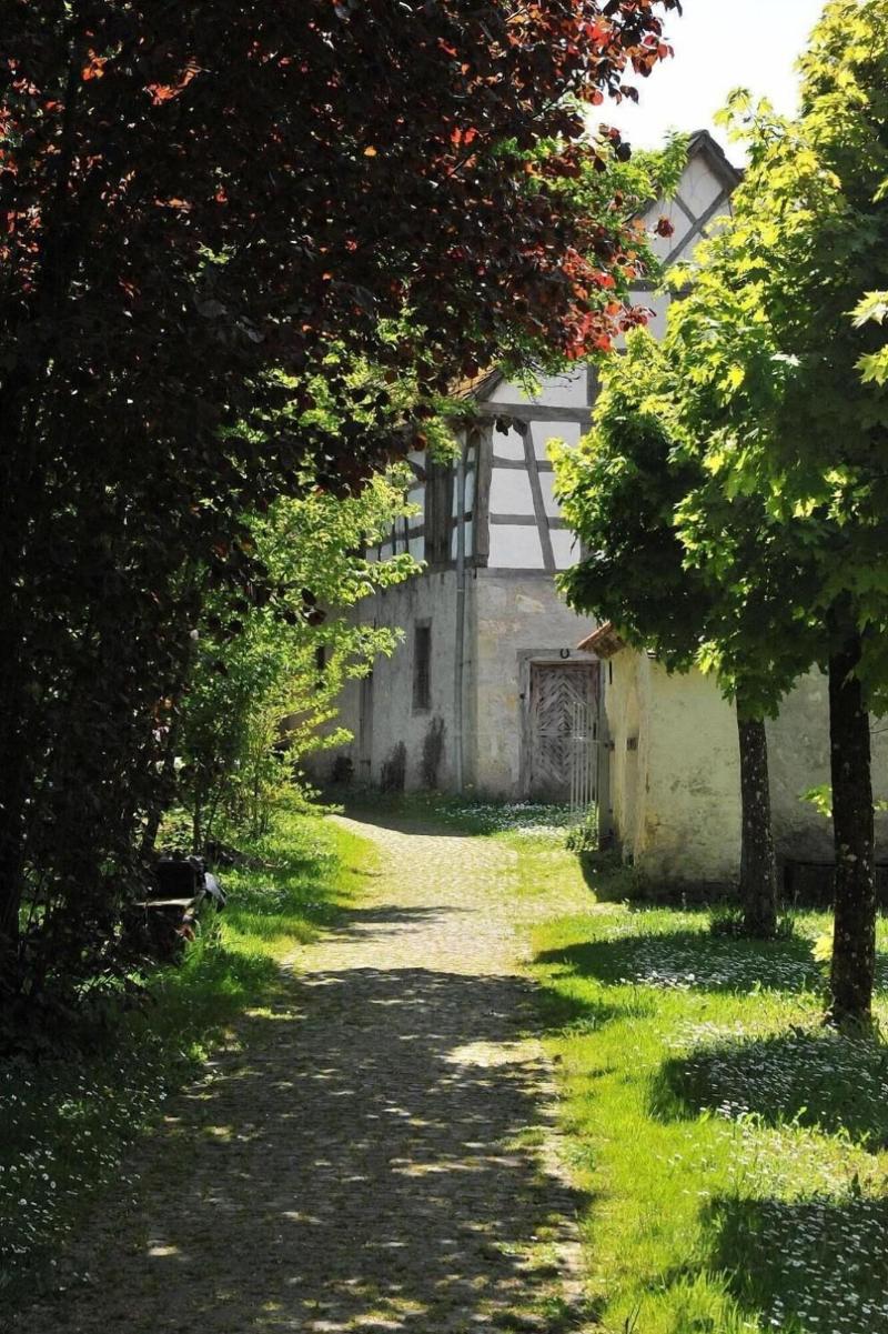 Kloster Heiligkreuztal Tagungshaus image