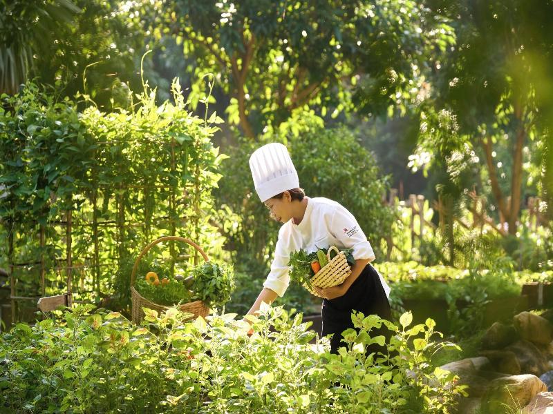 Nha Trang Marriott Resort & Spa, Hon Tre Island image