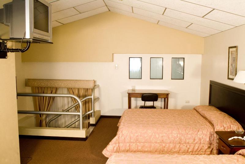Hotel Podocarpus image
