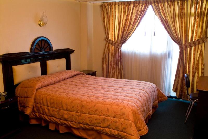 Hotel Podocarpus image
