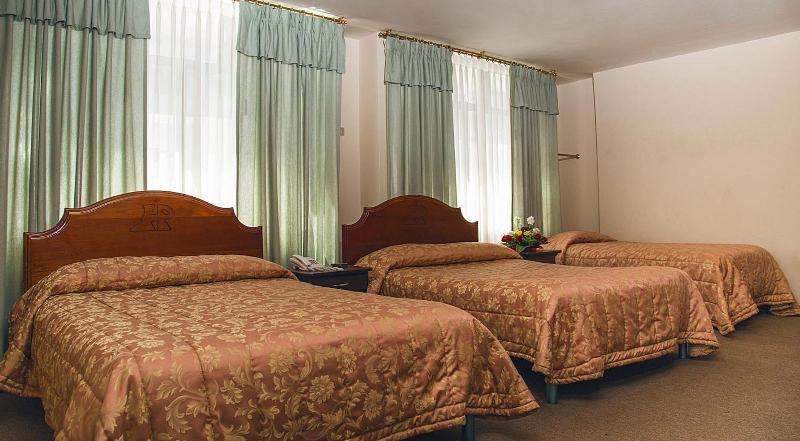 Hotel Podocarpus image