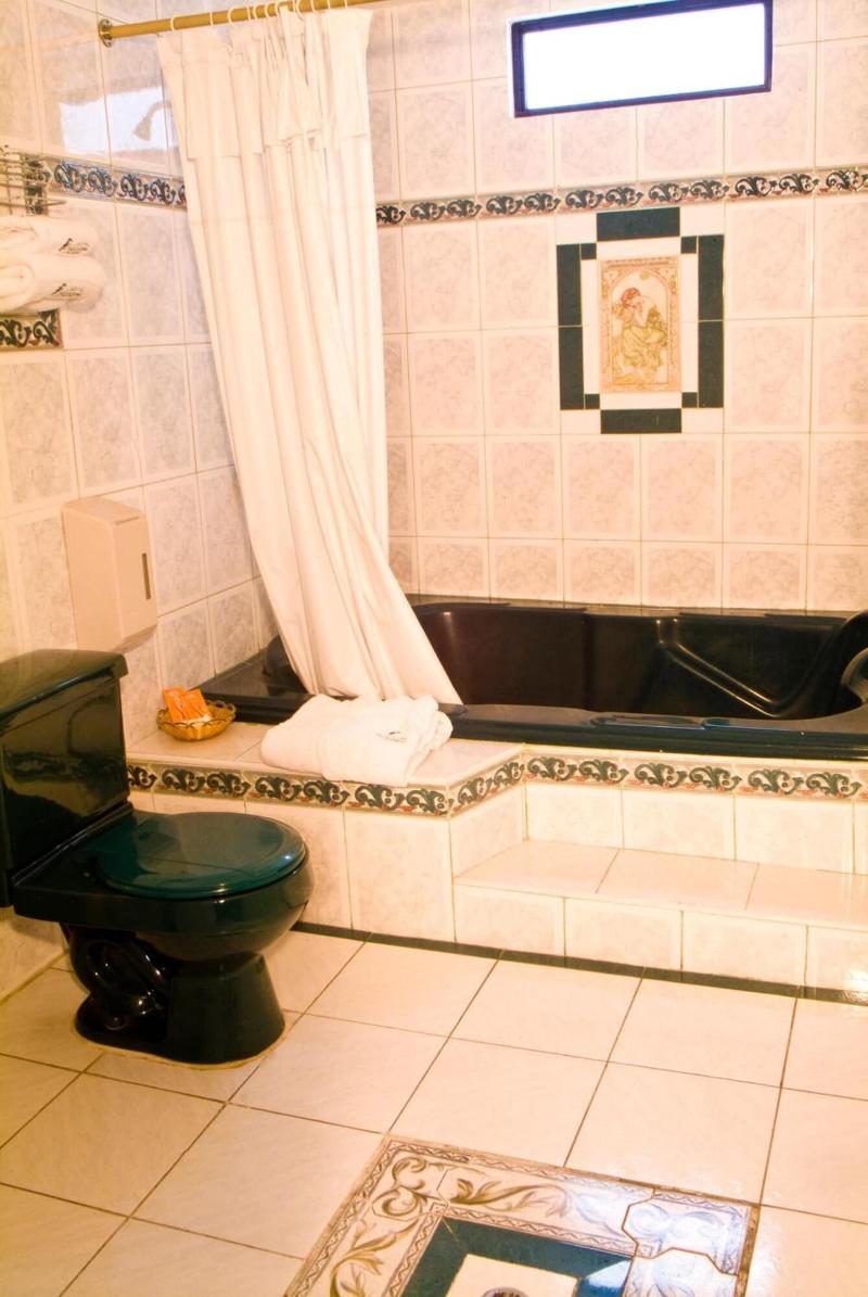 Hotel Podocarpus image