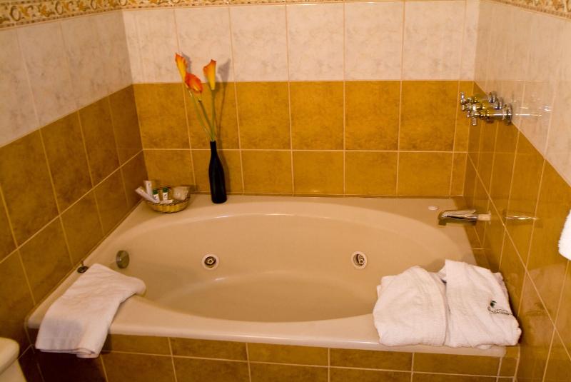 Hotel Podocarpus image