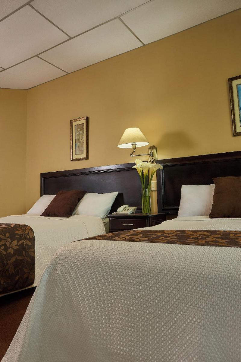 Hotel Podocarpus image