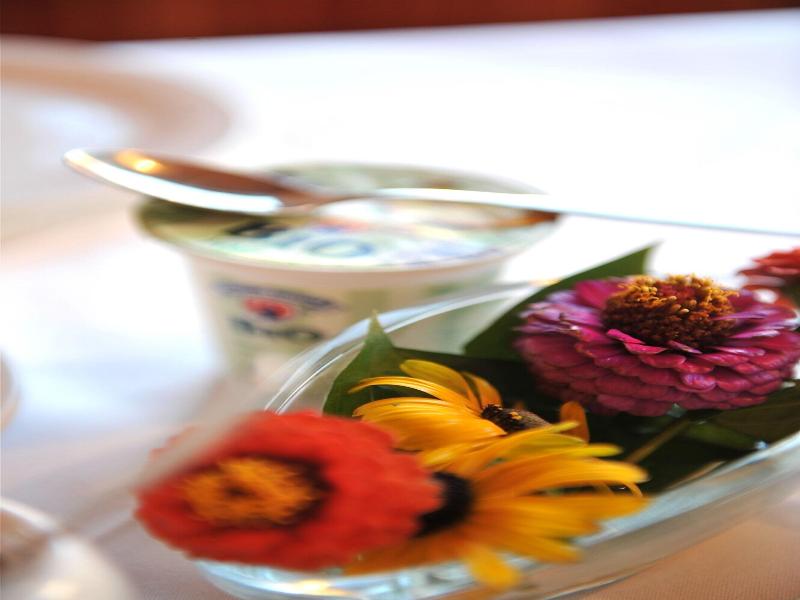 Landhotel Anna image