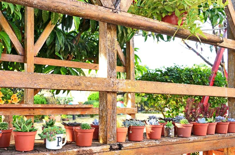 Garden Life Homestay image