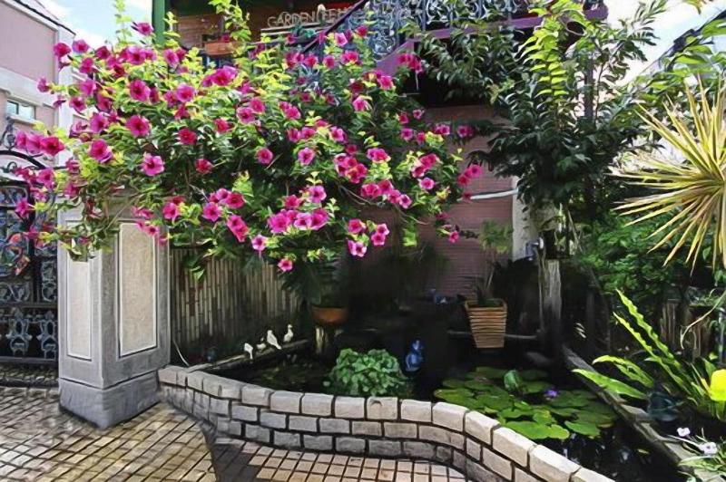 Garden Life Homestay image
