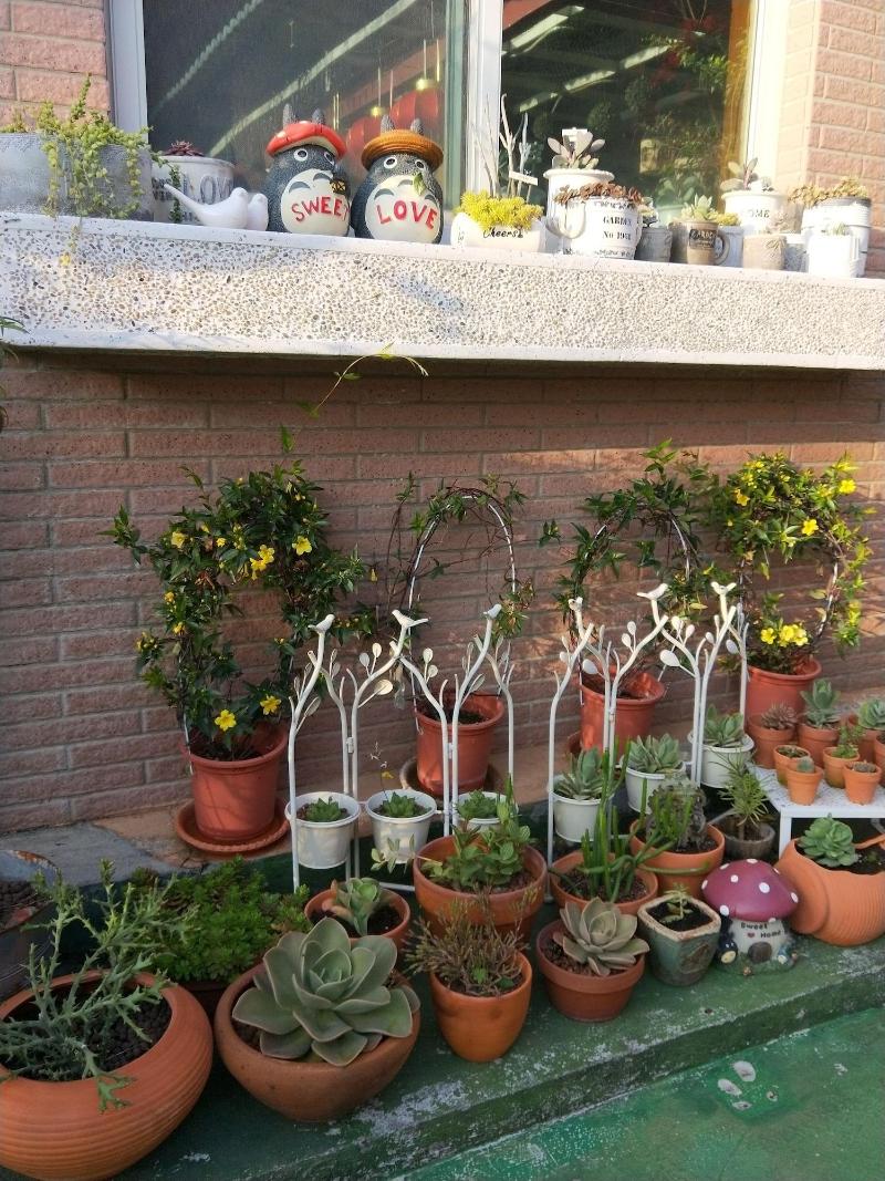 Garden Life Homestay image