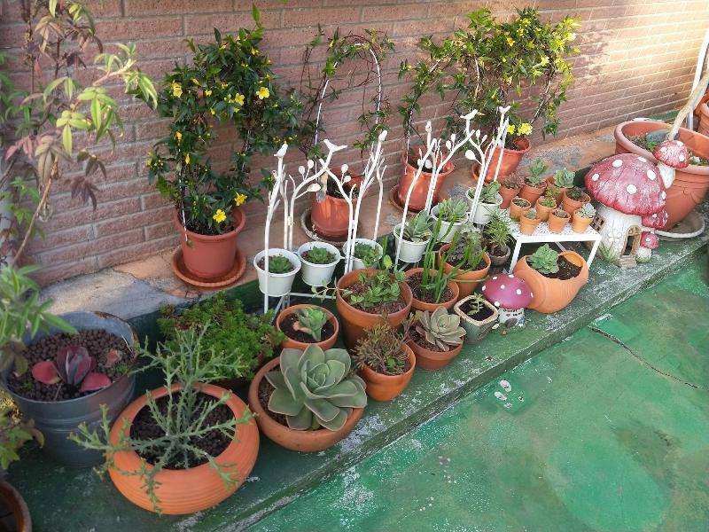 Garden Life Homestay image