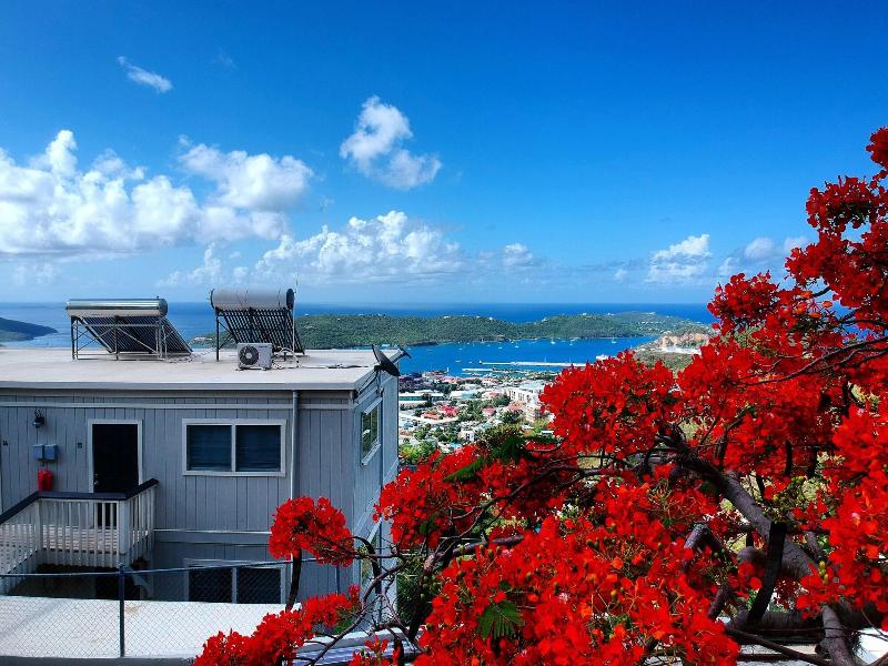Island View Guesthouse image