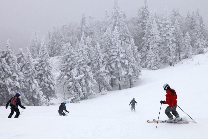 Four Points By Sheraton Bansko image