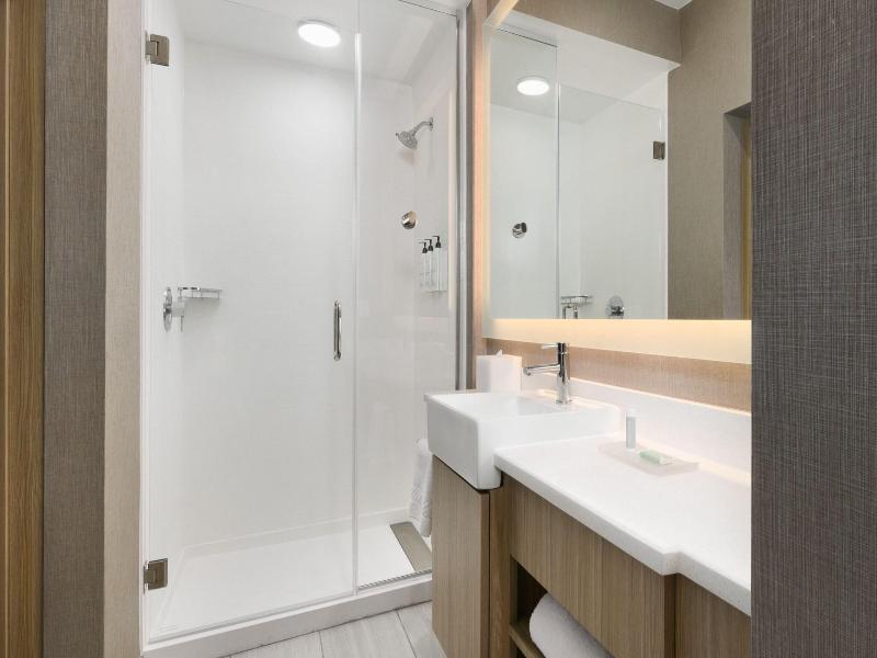 Springhill Suites By Marriott Dothan image