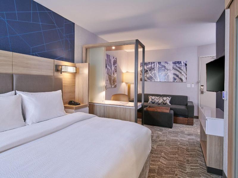 Springhill Suites By Marriott Detroit Dearborn image