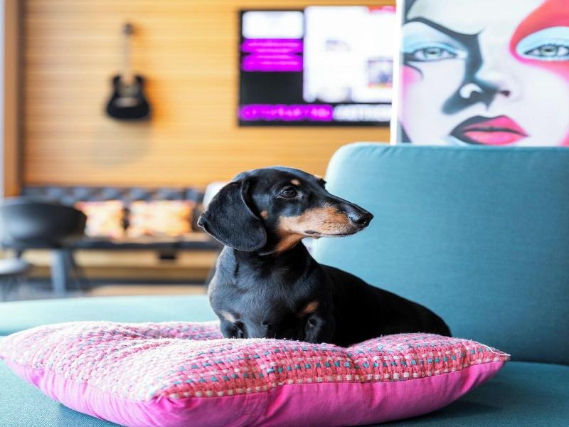Moxy Houston Downtown image