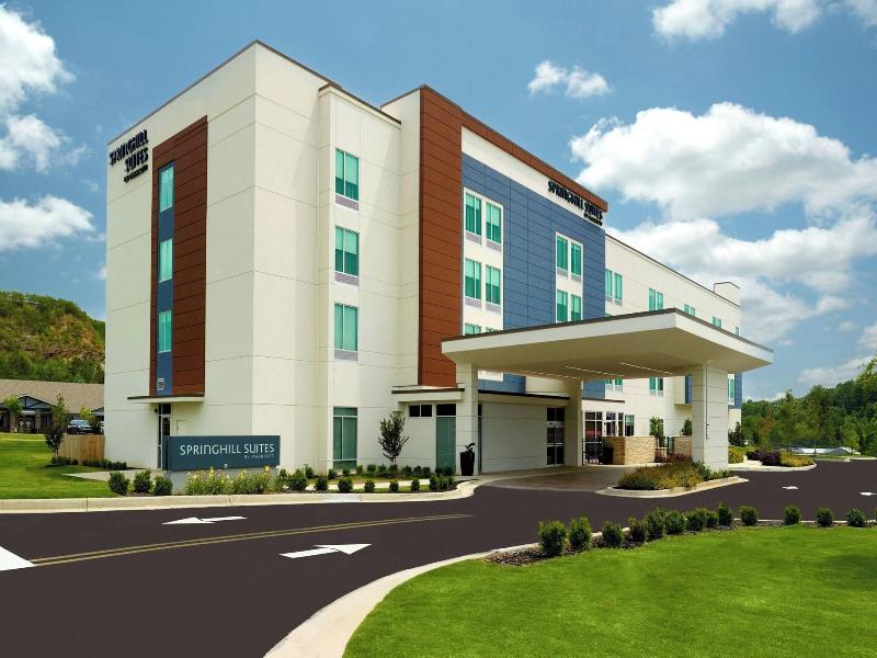 Springhill Suites By Marriott Ellijay