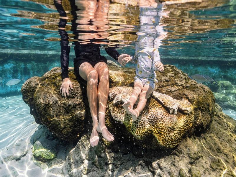 The St. Regis Longboat Key Resort image
