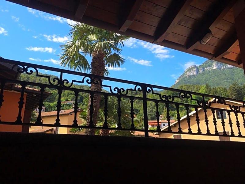 Hotel Adler image