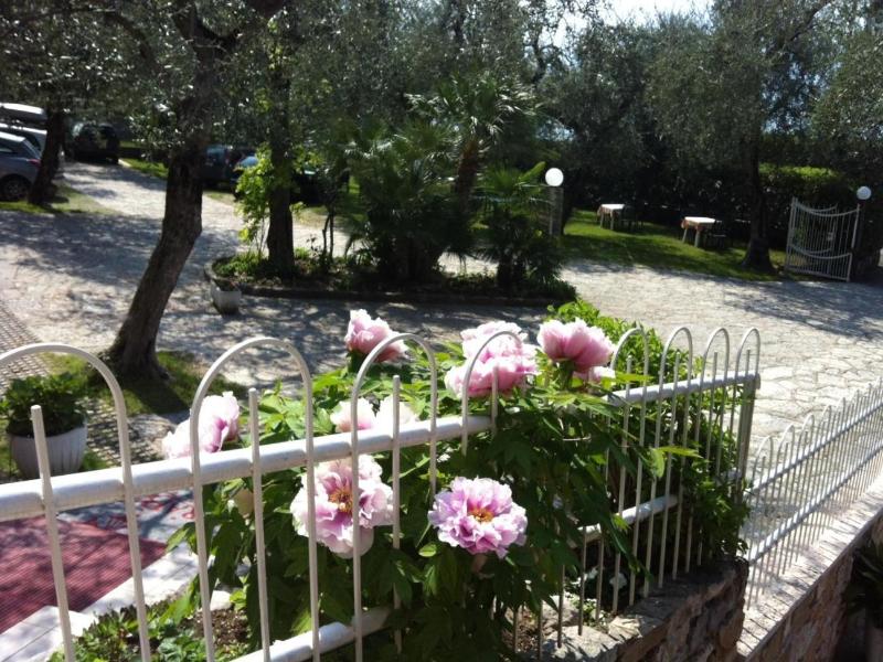 Hotel Rabay image