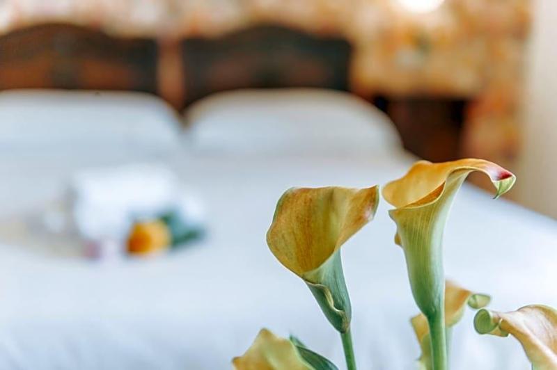 Hotel Aganoor image