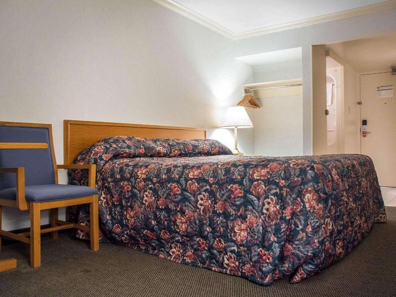 Econo Lodge By the Falls image