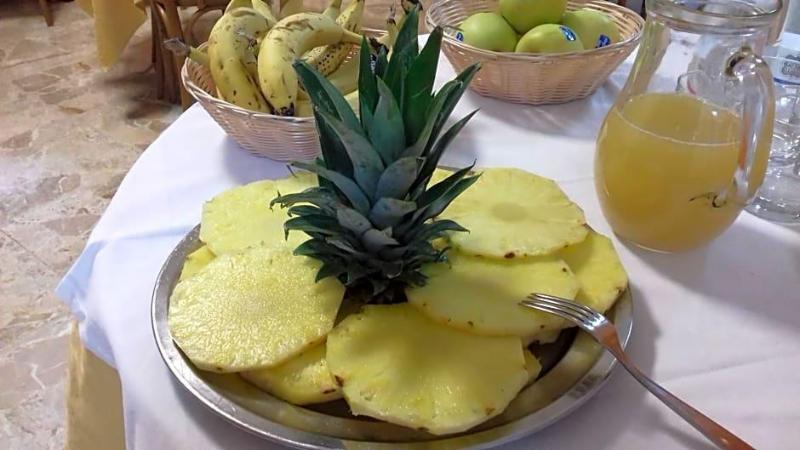 Albergo La Primula image